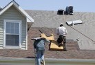 Jackass Flatskylights-2.jpg; ?>